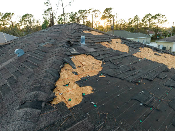 Best Roof Leak Repair  in Martinsburg, PA